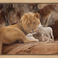 The Lion and The Lamb