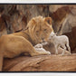 The Lion and The Lamb