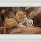 The Lion and The Lamb