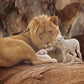 The Lion and The Lamb
