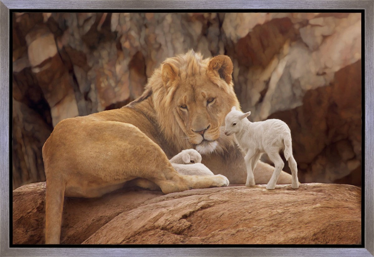 The Lion and The Lamb Gallery Wrap