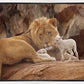 The Lion and The Lamb