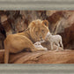 The Lion and The Lamb