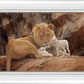 The Lion and The Lamb