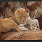 The Lion and The Lamb