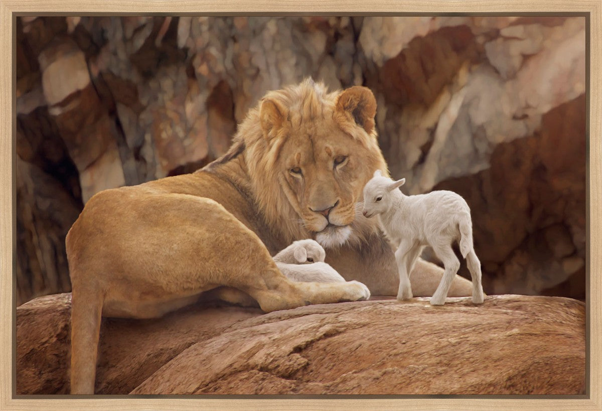 The Lion and The Lamb Gallery Wrap