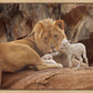 The Lion and The Lamb
