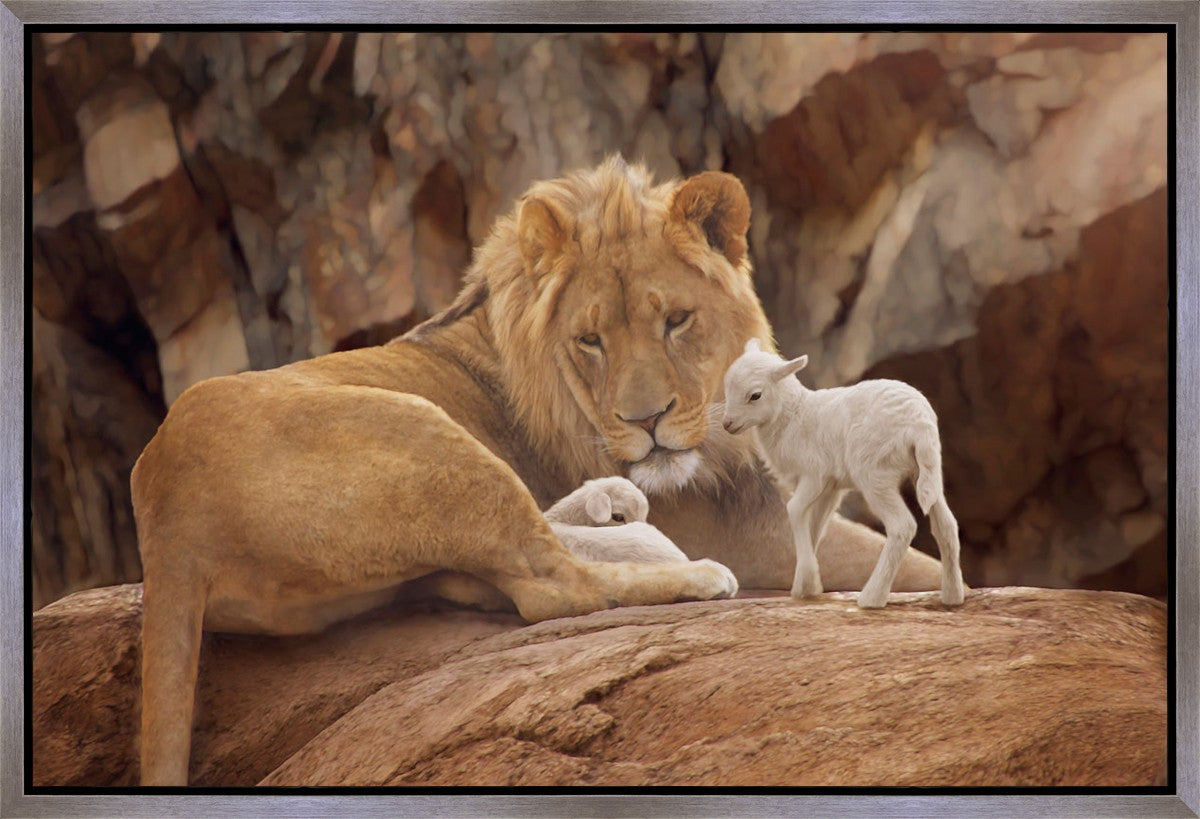 The Lion and The Lamb Gallery Wrap