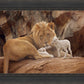 The Lion and The Lamb
