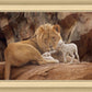 The Lion and The Lamb