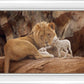 The Lion and The Lamb