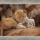 The Lion and The Lamb