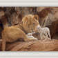The Lion and The Lamb