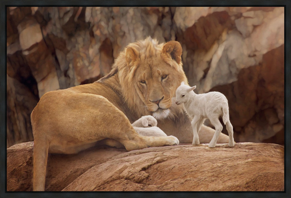 The Lion and The Lamb Gallery Wrap