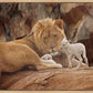 The Lion and The Lamb
