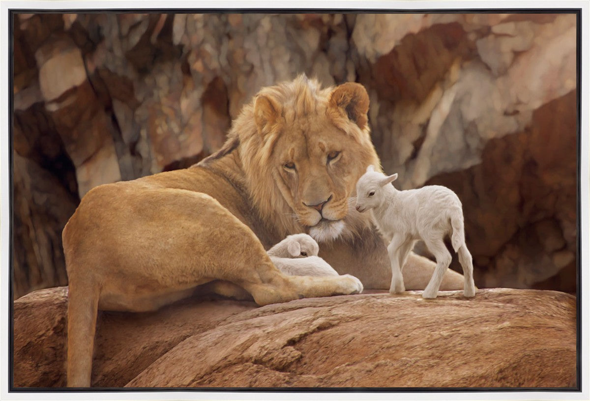The Lion and The Lamb Gallery Wrap