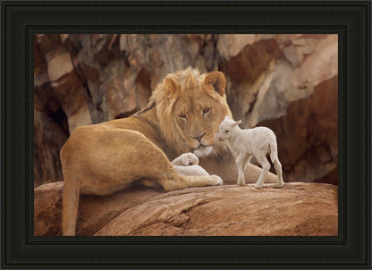 The Lion and The Lamb