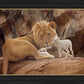 The Lion and The Lamb