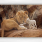 The Lion and The Lamb