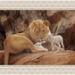 The Lion and The Lamb