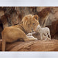 The Lion and The Lamb
