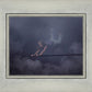 The Iron Rod