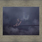 The Iron Rod