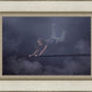 The Iron Rod