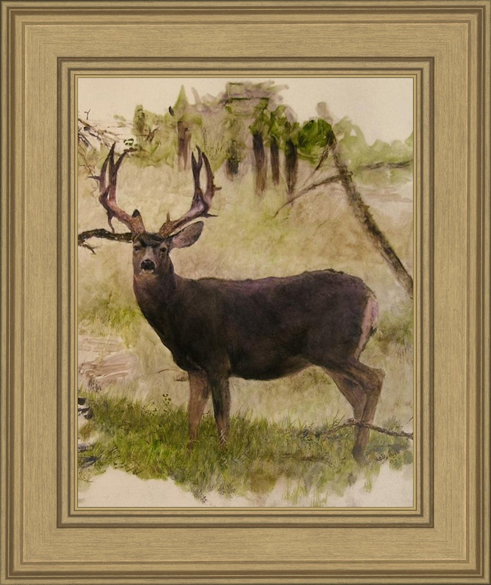 Mule Deer