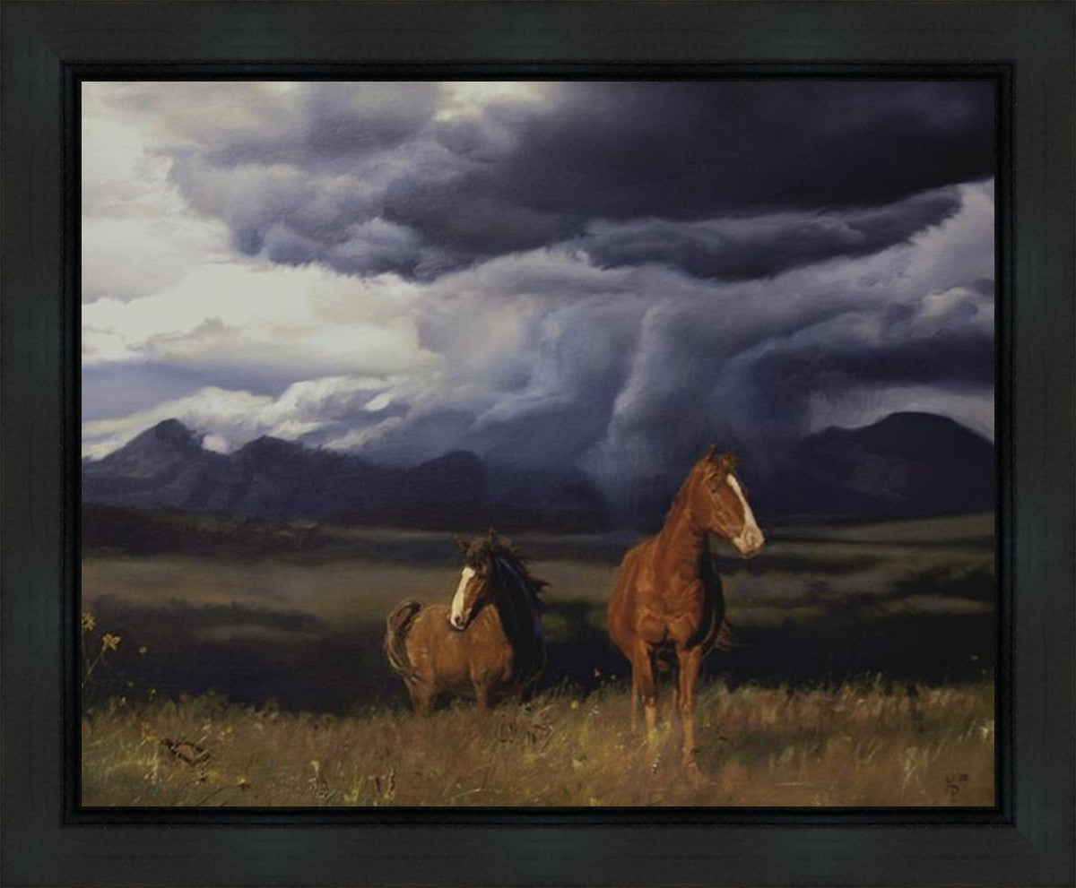 Blue Mountain Storme