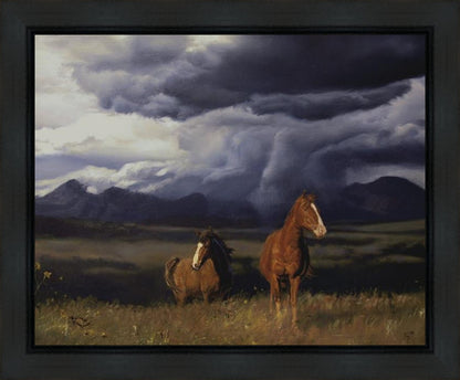 Blue Mountain Storme