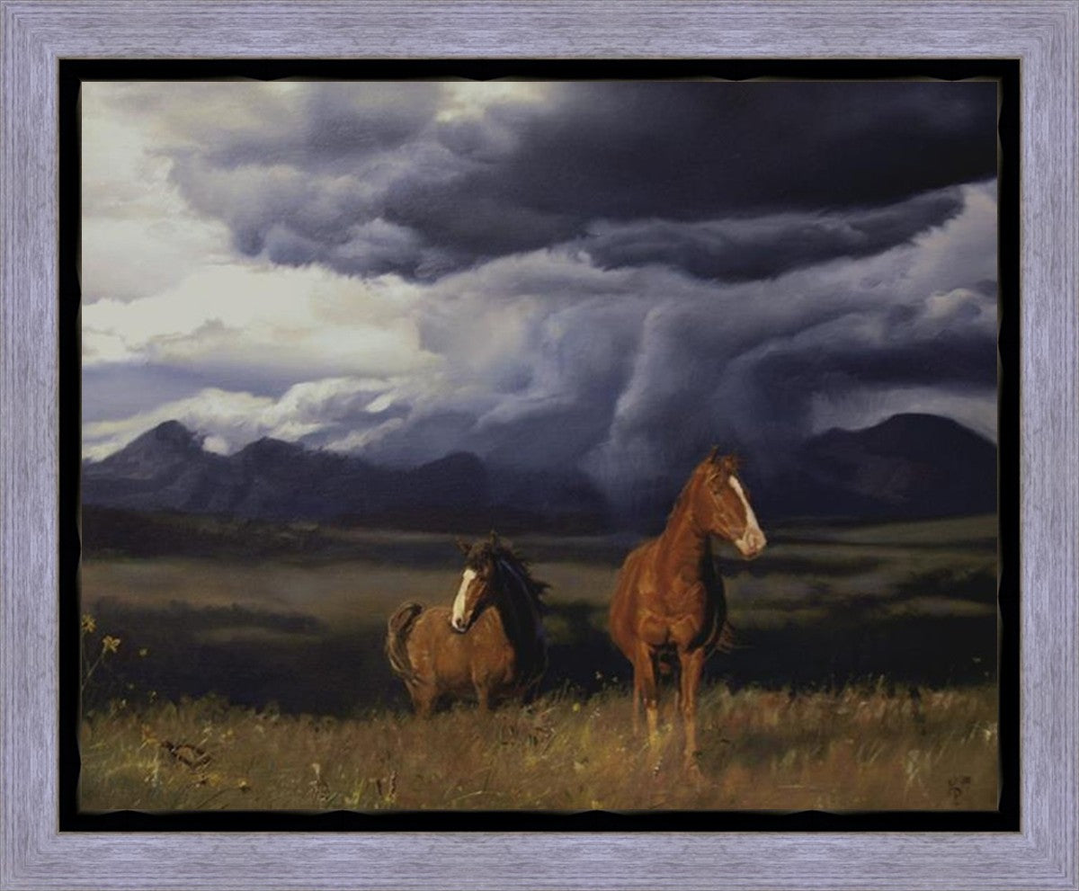 Blue Mountain Storme