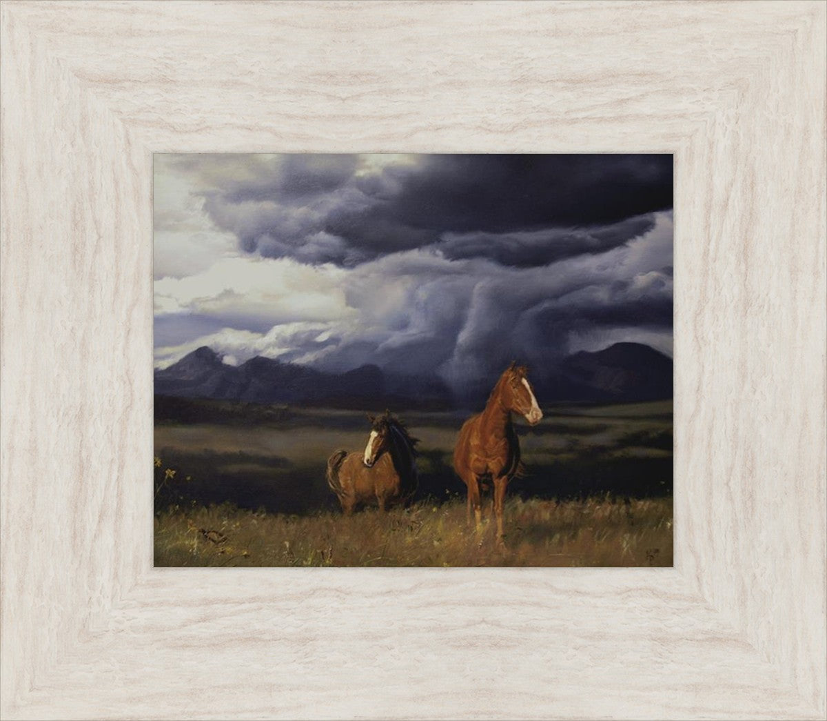 Blue Mountain Storme