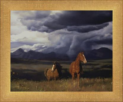 Blue Mountain Storme