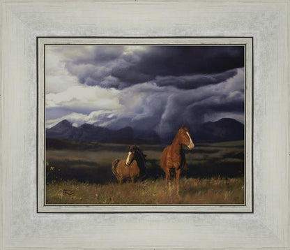 Blue Mountain Storme