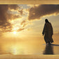 A New Dawn