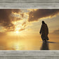 A New Dawn