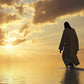 A New Dawn