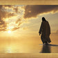 A New Dawn