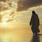 A New Dawn