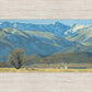 Midway Vista