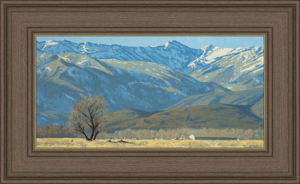 Midway Vista