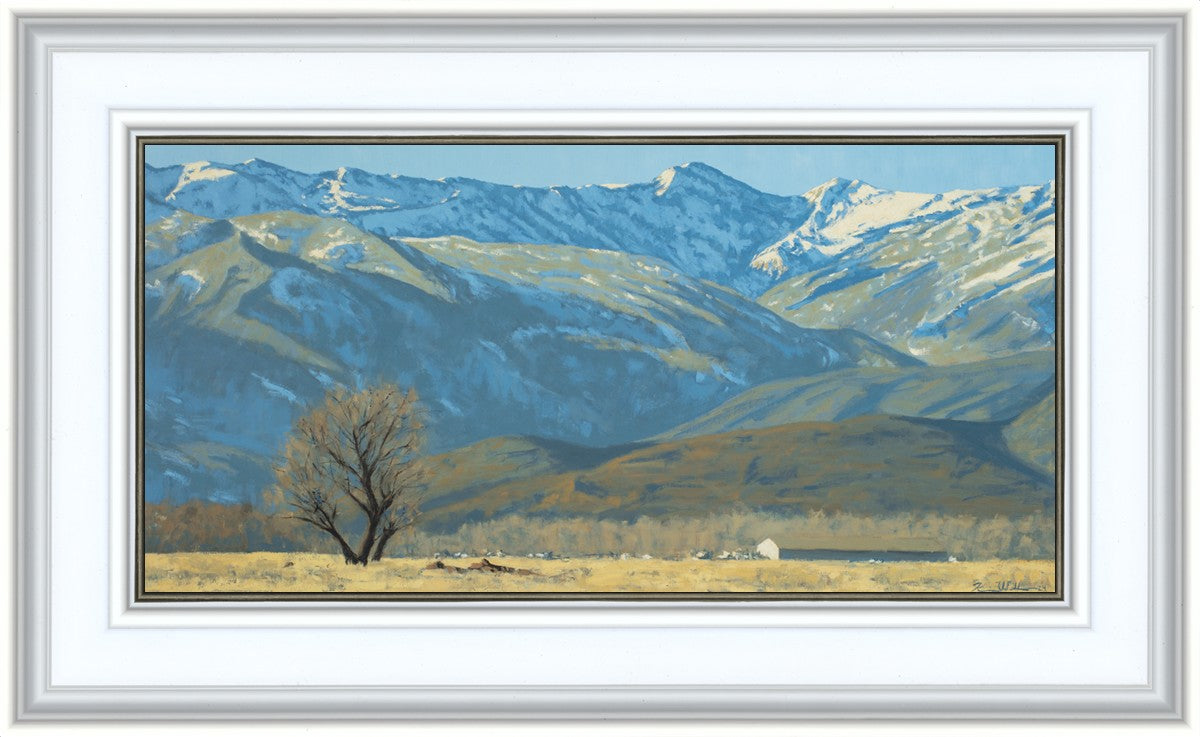 Midway Vista