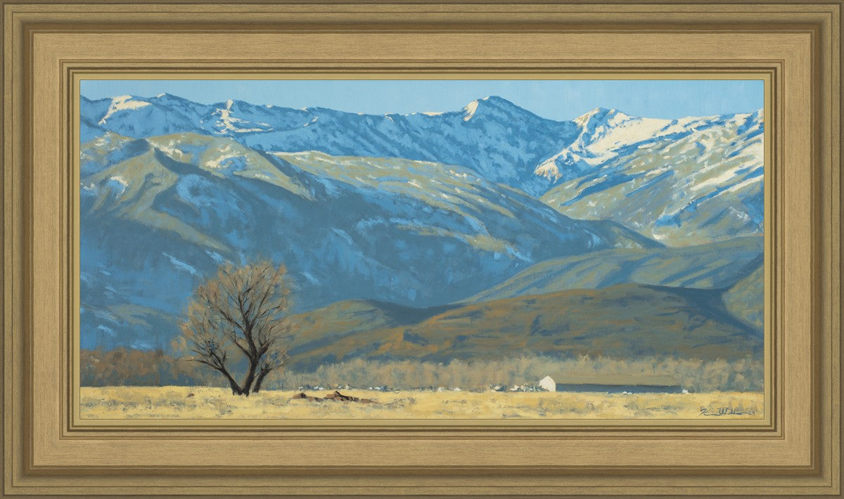 Midway Vista