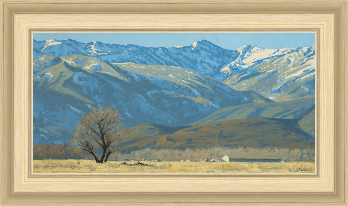 Midway Vista
