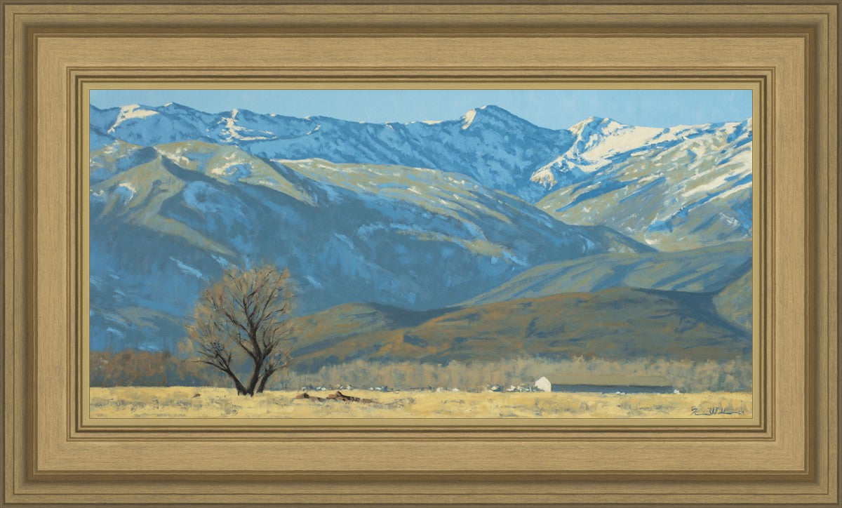 Midway Vista