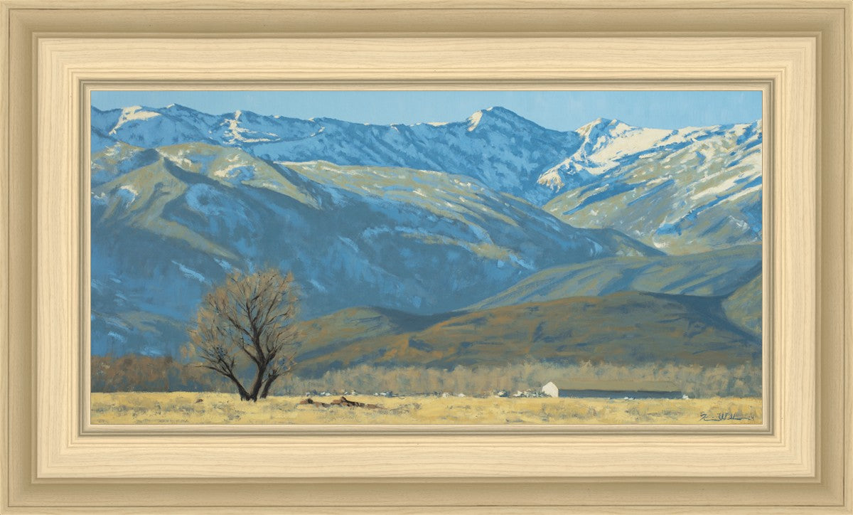 Midway Vista
