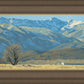 Midway Vista