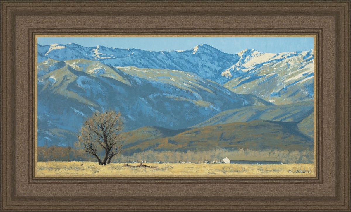 Midway Vista