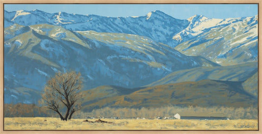 Midway Vista